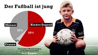 Grafik über die Anteile von Kindern und Jugendlichen im Fußball