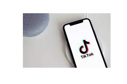 Tiktok Seminar