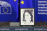 Caruana Galizia Preis