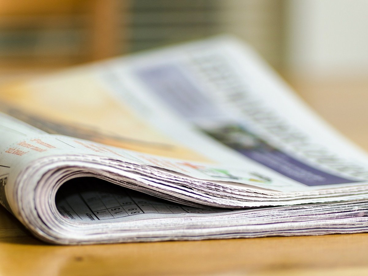 BDZV Zeitungszustellung