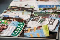 Zeitungsauswahl SZWL Zeitungsauswahl SZWL