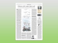 Mockup des nominierten Textes von Hannes Soltau von der Tagesspiegel-Website