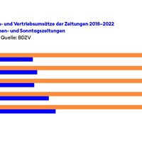Entwicklung Anzeigen- und Vertriebsumsätze der Zeitungen 2018-2022.