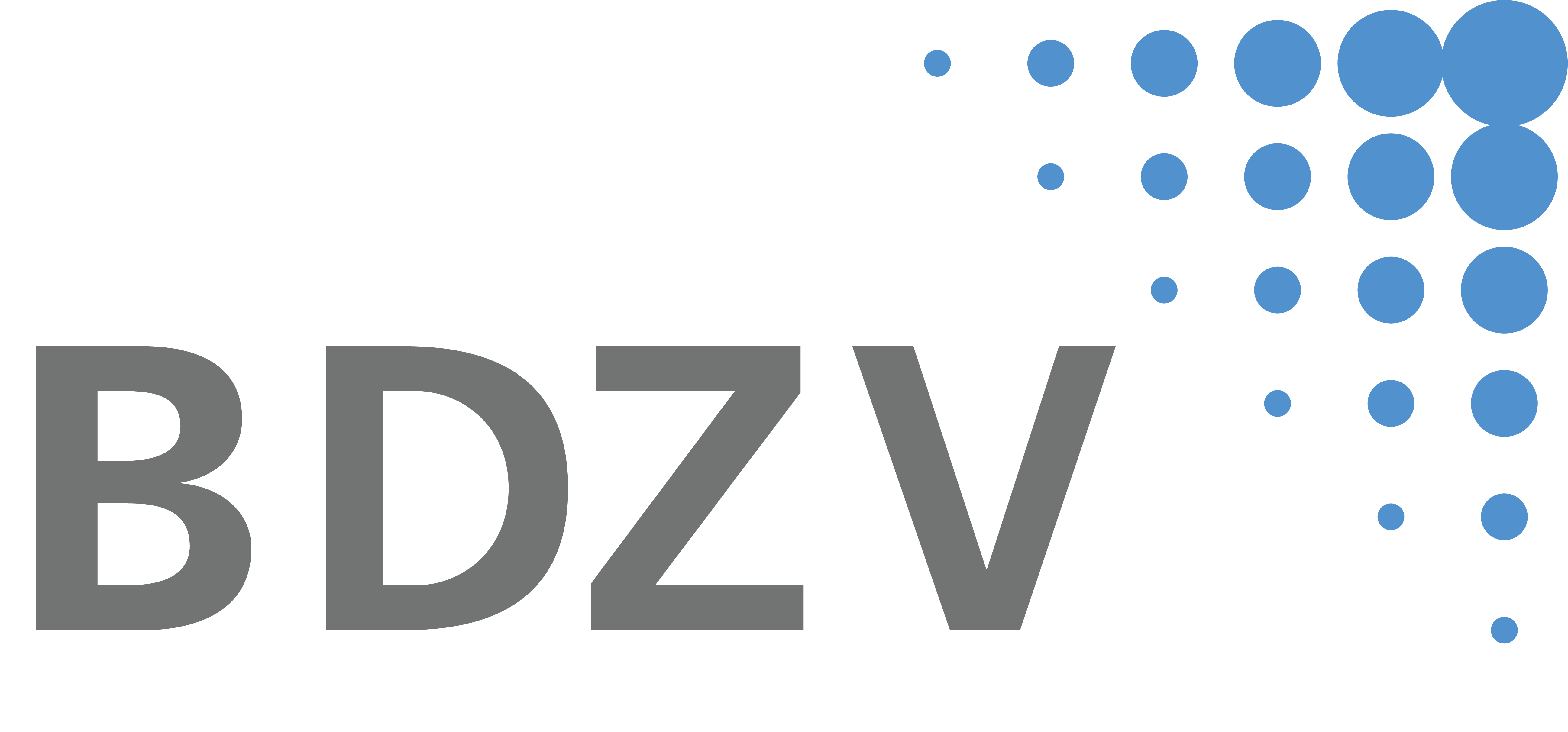 BDZV Logo